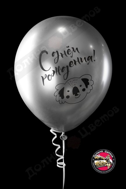 Шар с ДР сегодня твой день.