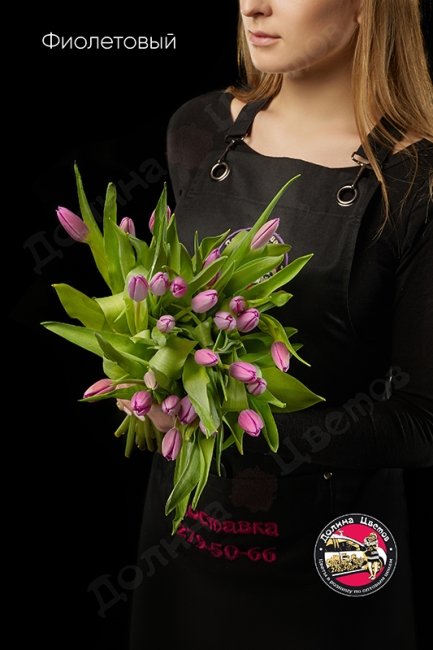 Тюльпан Фиолетовый