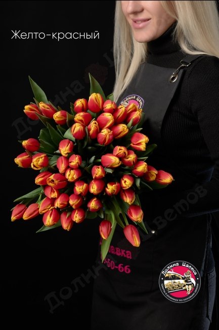 Тюльпан Красно-желтый