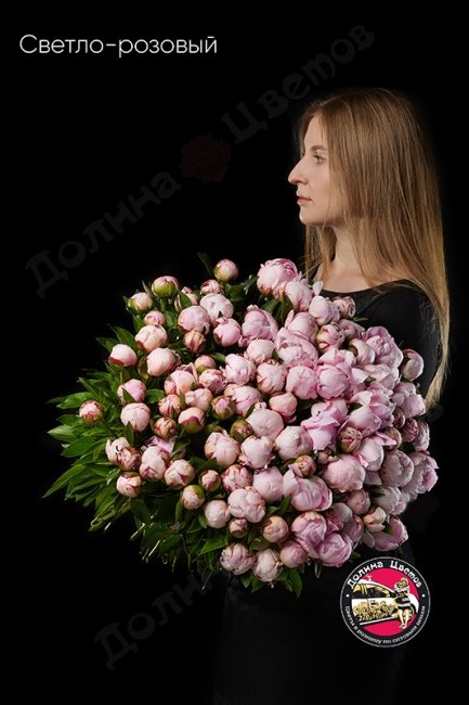 Пион светло-розовый