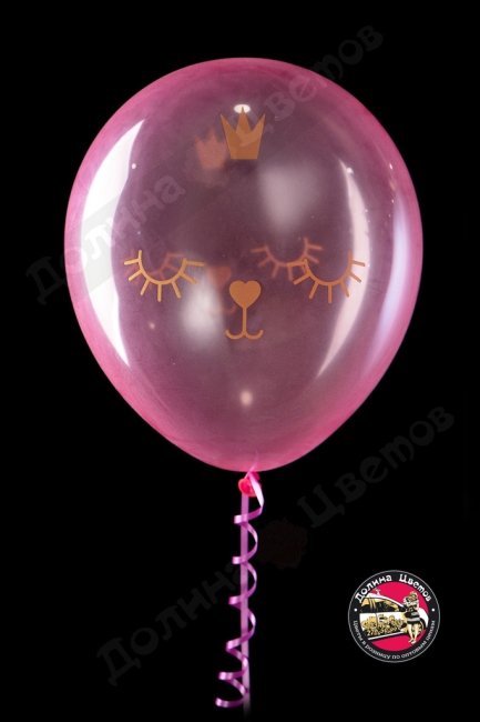 Шар с днем рождения (котенок принцесса).