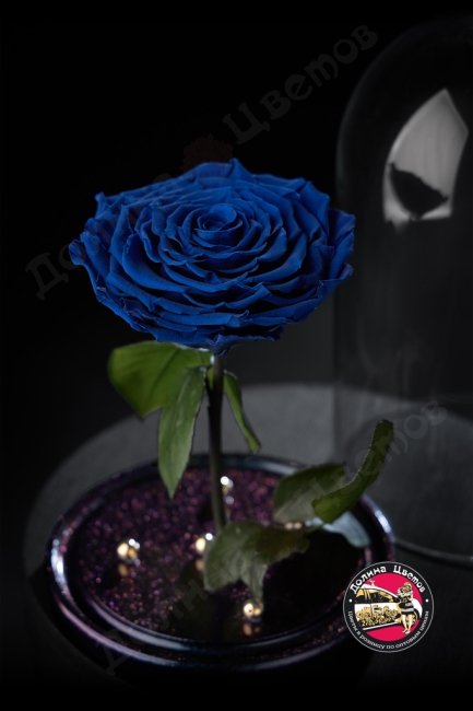 Роза в колбе синяя ПРЕМИУМ