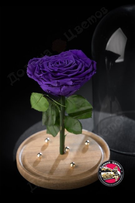 Роза в колбе фиолетовая ПРЕМИУМ