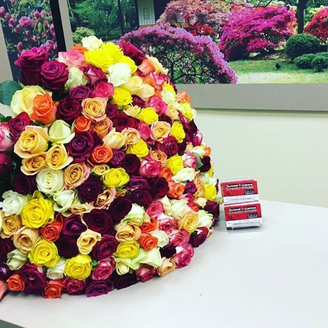 Букет из 301 розы (микс). Высота 70 см