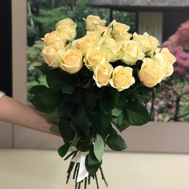 Роза Пич-Аваланж (персиковая). Букет из 21 розы. Высота 60 см