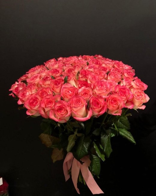 Роза Джумилия. Букет из 75 роз. Высота 60 см