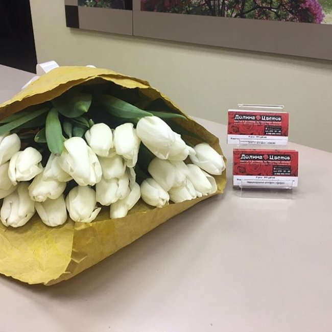 Букет из 201 тюльпана. белый