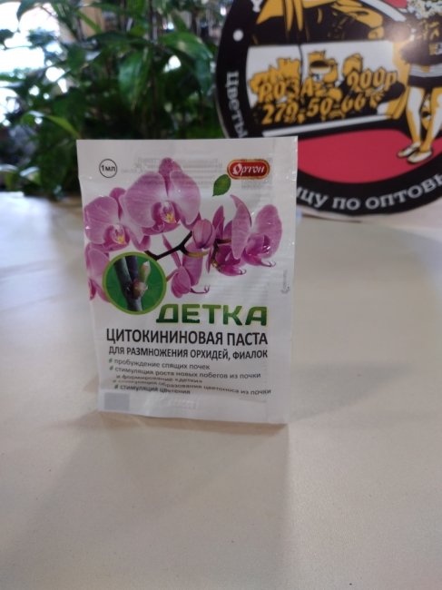 Уход: цитокининовая паста Детка, 1 мл