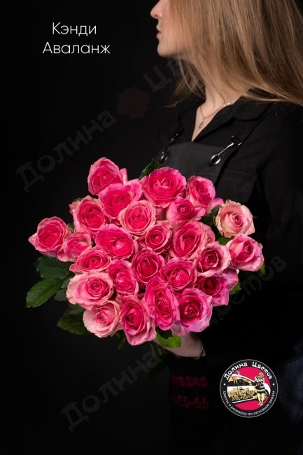 Букет из Розы Кэнди Аваланж  (высота  50см)
