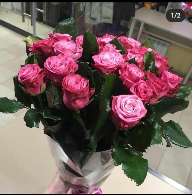 Роза Дип Вотер. Букет из 35 роз. Высота 50 см