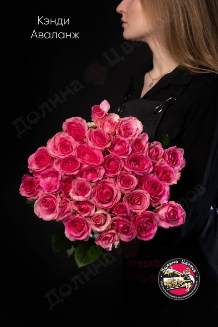 Букет из Розы Кэнди Аваланж  (высота  60см)