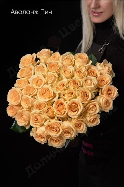 Букет из Розы Аваланж Пич  (высота  50см)
