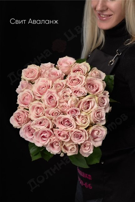 Букет из Розы Свит Аваланж  (высота  60см)