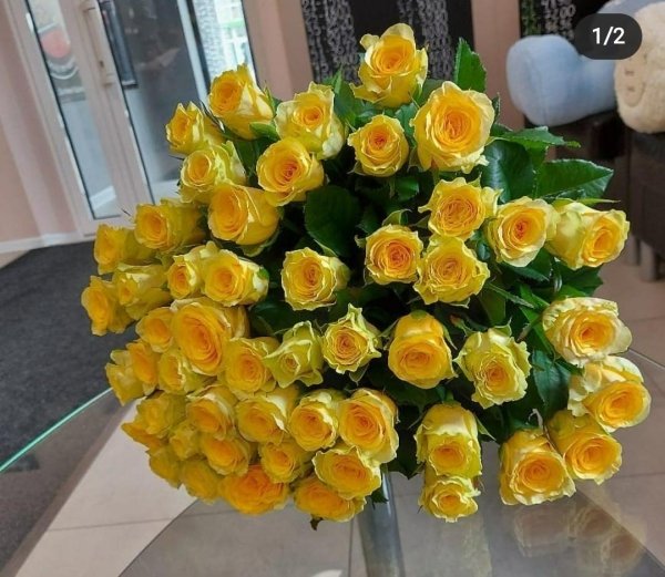 Роза Илиос (желтая). Букет из 101 розы. Высота 70 см