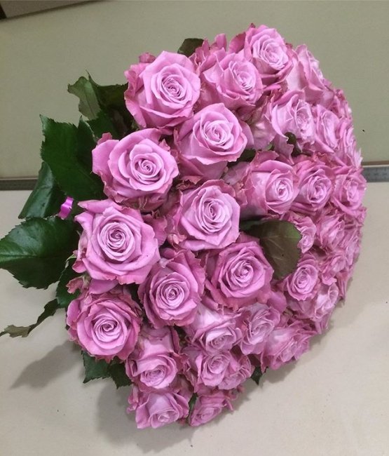 Роза Маритим. Букет из 35 роз. Высота 70 см