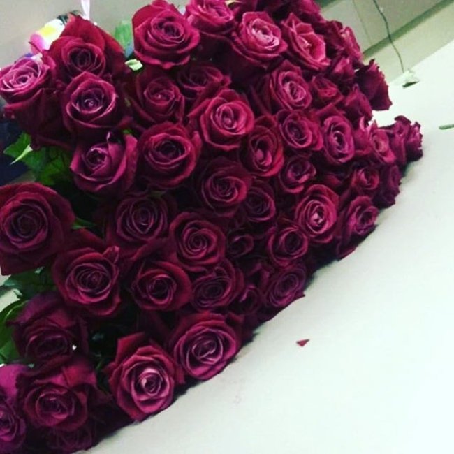 Роза Шангри Ла (розовая). Букет из 51 розы. Высота 60 см