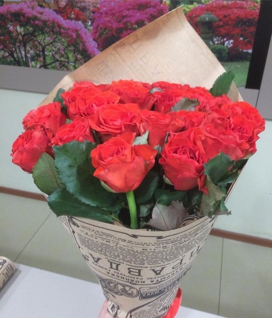 Роза Элторо (красная). Букет из 25 роз. Высота 50 см