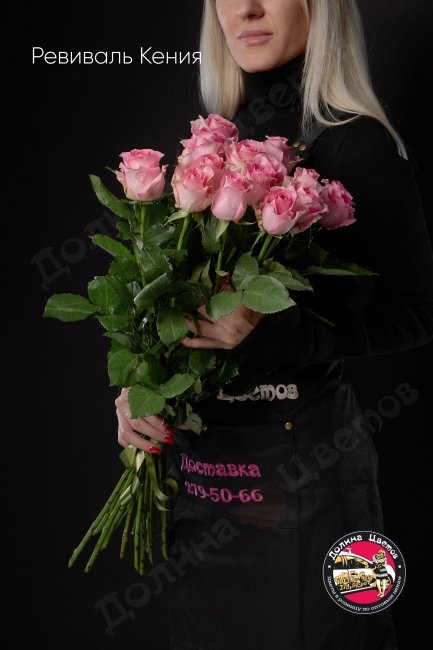 Розы Ревиваль Кения  (высота  60см)
