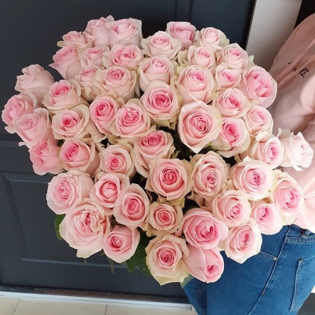 Роза Свит Ревиваль. Букет из 51 розы. Высота 70 см