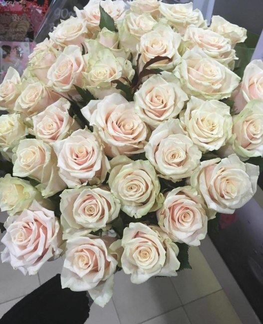 Роза Талея. Букет из 41 розы. Высота 60 см