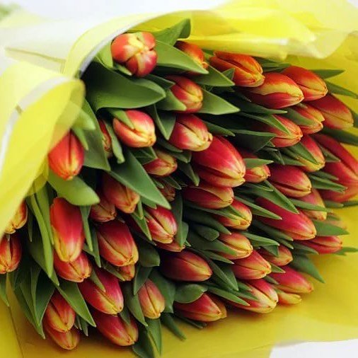 Букет из 41 тюльпана. красно-желтый