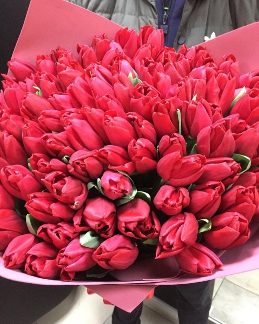 Букет из 101 тюльпана. красный