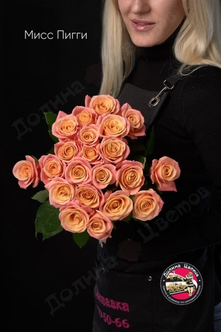 Букет из Розы Мисс Пигги  (высота  60см)