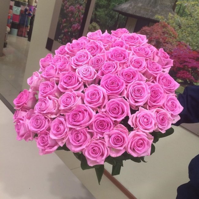 Роза Аква (розовая). Букет из 51 розы. Высота 70 см