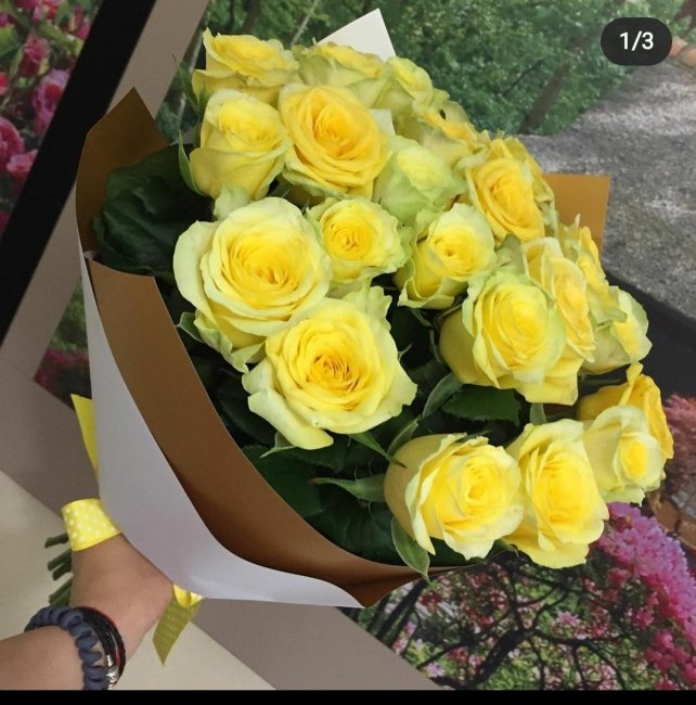 Роза Илиос (желтая). Букет из 35 роз. Высота 50 см