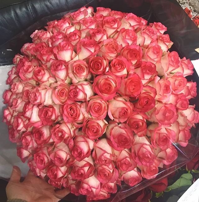 Роза Джумилия. Букет из 201 розы. Высота 50 см