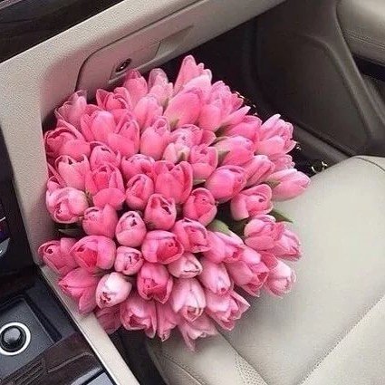 Букет из 101 тюльпана. нежно-розовый