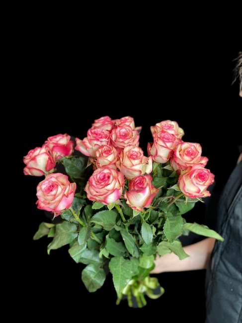 Розы Палома Кения  (высота  50см)