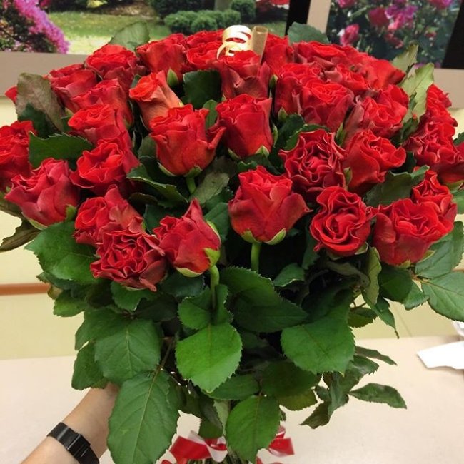 Роза Элторо (красная). Букет из 41 розы. Высота 60 см