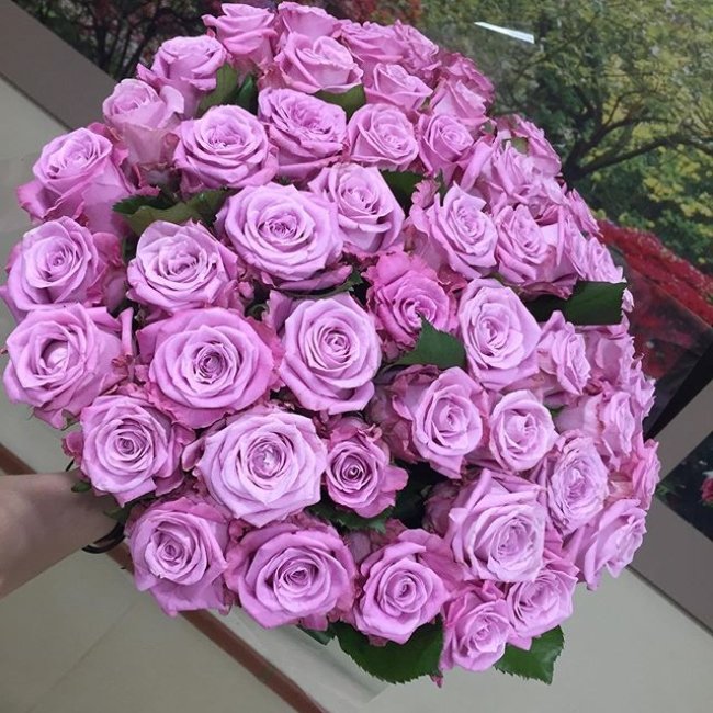 Роза Маритим. Букет из 51 розы. Высота 60 см