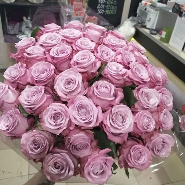 Роза Маритим. Букет из 51 розы. Высота 70 см