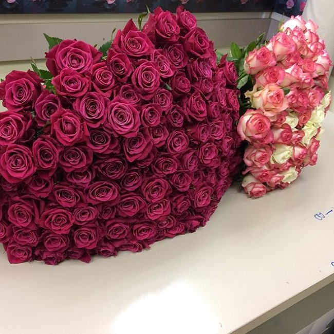 Роза Шангри Ла (розовая). Букет из 75 роз. Высота 60 см