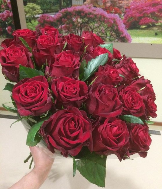 Роза Кон Аморе. Букет из 301 розы. Высота 60 см