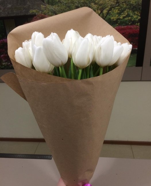 Букет из 25 тюльпанов. белый