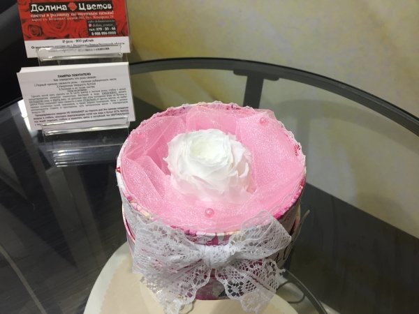 Роза белая в круглой коробке