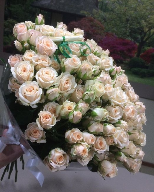 Букет из Розы Яна  (высота  50 см)